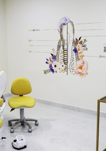 Dibamed dental clinic I Dubai UAE (2)